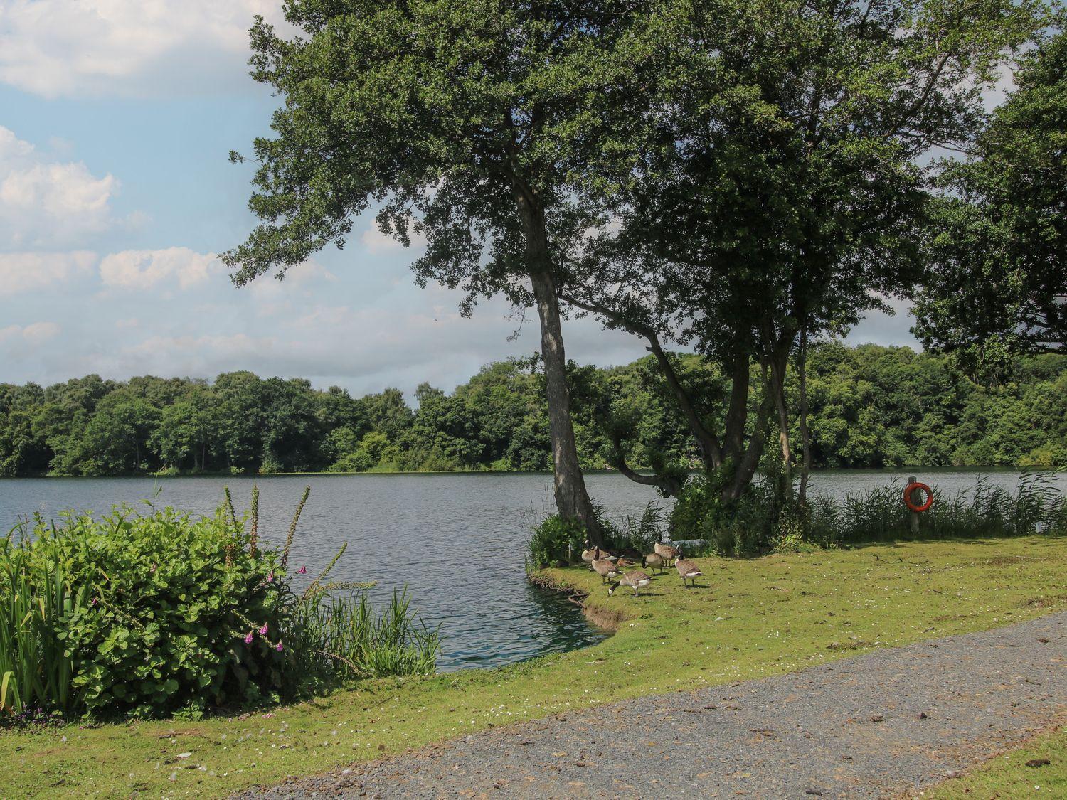Swan Villa Leominster Exterior foto